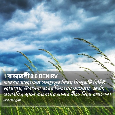 1 ৰাজাৱলী 8:6 BENIRV Bible Verse Image
