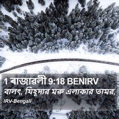 1 ৰাজাৱলী 9:18 BENIRV Bible Verse Image