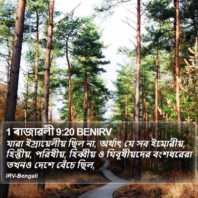 1 ৰাজাৱলী 9:20 BENIRV Bible Verse Image