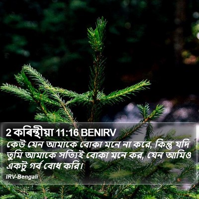 2 কৰিন্থীয়া 11:16 BENIRV Bible Verse Image