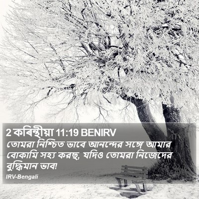 2 কৰিন্থীয়া 11:19 BENIRV Bible Verse Image