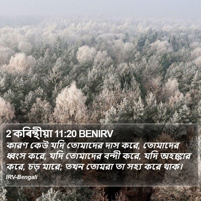 2 কৰিন্থীয়া 11:20 BENIRV Bible Verse Image