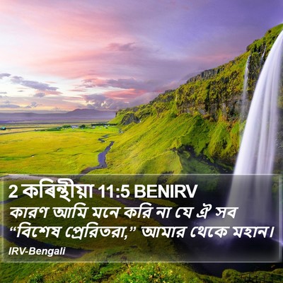 2 কৰিন্থীয়া 11:5 BENIRV Bible Verse Image
