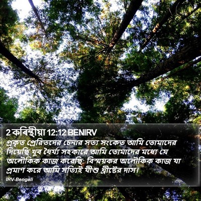 2 কৰিন্থীয়া 12:12 BENIRV Bible Verse Image
