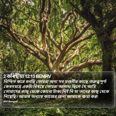 2 কৰিন্থীয়া 12:13 BENIRV Bible Verse Image