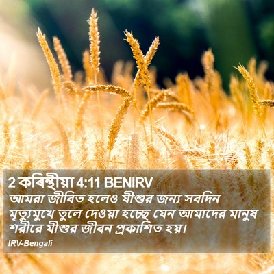 2 কৰিন্থীয়া 4:11 BENIRV Bible Verse Image