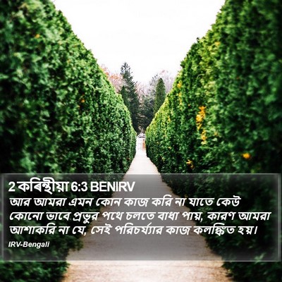 2 কৰিন্থীয়া 6:3 BENIRV Bible Verse Image