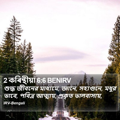 2 কৰিন্থীয়া 6:6 BENIRV Bible Verse Image