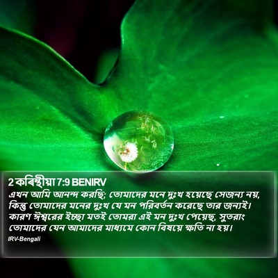 2 কৰিন্থীয়া 7:9 BENIRV Bible Verse Image