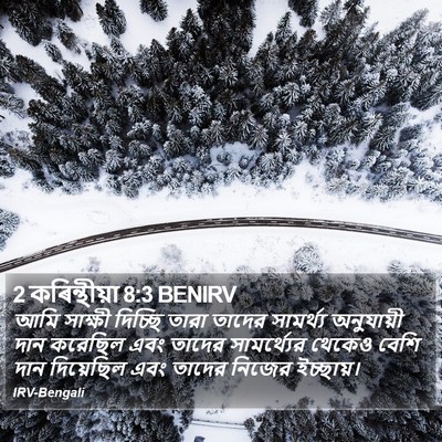 2 কৰিন্থীয়া 8:3 BENIRV Bible Verse Image