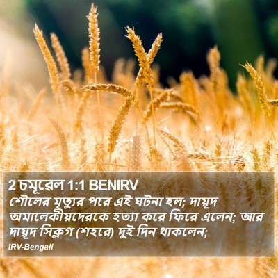 2 চমূৱেল 1:1 BENIRV Bible Verse Image