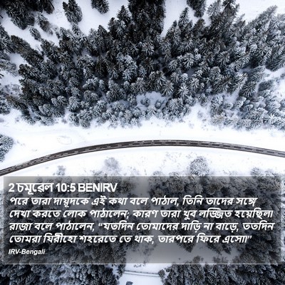 2 চমূৱেল 10:5 BENIRV Bible Verse Image