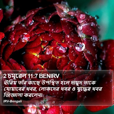 2 চমূৱেল 11:7 BENIRV Bible Verse Image