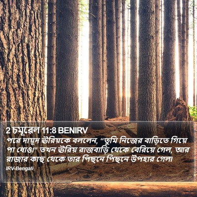 2 চমূৱেল 11:8 BENIRV Bible Verse Image