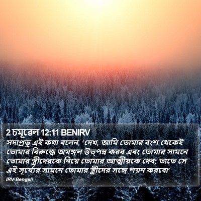 2 চমূৱেল 12:11 BENIRV Bible Verse Image