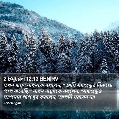2 চমূৱেল 12:13 BENIRV Bible Verse Image