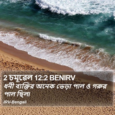 2 চমূৱেল 12:2 BENIRV Bible Verse Image