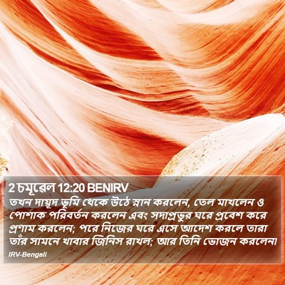 2 চমূৱেল 12:20 BENIRV Bible Verse Image