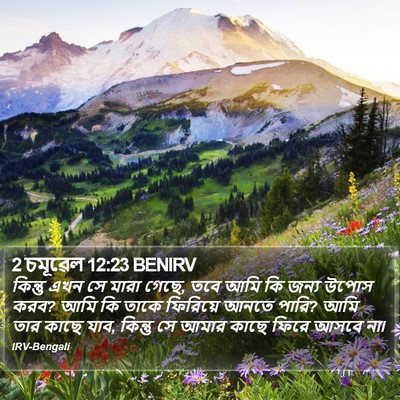 2 চমূৱেল 12:23 BENIRV Bible Verse Image