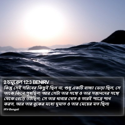 2 চমূৱেল 12:3 BENIRV Bible Verse Image