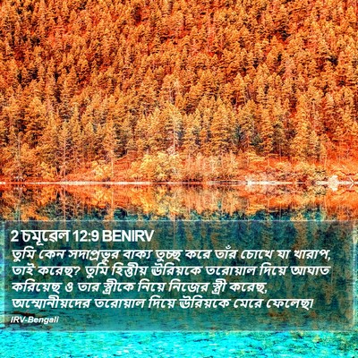 2 চমূৱেল 12:9 BENIRV Bible Verse Image