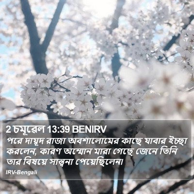 2 চমূৱেল 13:39 BENIRV Bible Verse Image