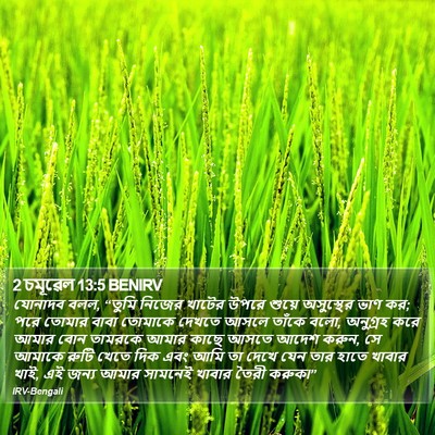 2 চমূৱেল 13:5 BENIRV Bible Verse Image