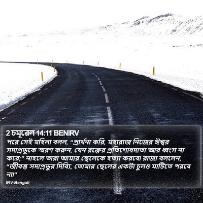 2 চমূৱেল 14:11 BENIRV Bible Verse Image