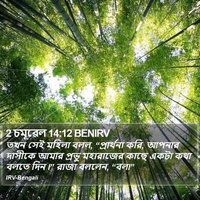 2 চমূৱেল 14:12 BENIRV Bible Verse Image