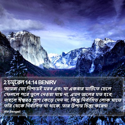 2 চমূৱেল 14:14 BENIRV Bible Verse Image