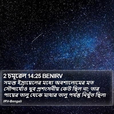 2 চমূৱেল 14:25 BENIRV Bible Verse Image
