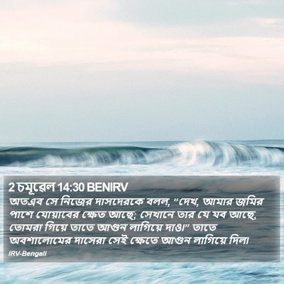 2 চমূৱেল 14:30 BENIRV Bible Verse Image