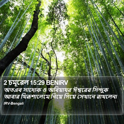 2 চমূৱেল 15:29 BENIRV Bible Verse Image