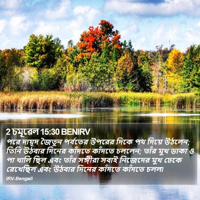 2 চমূৱেল 15:30 BENIRV Bible Verse Image