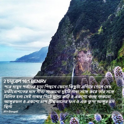 2 চমূৱেল 16:1 BENIRV Bible Verse Image