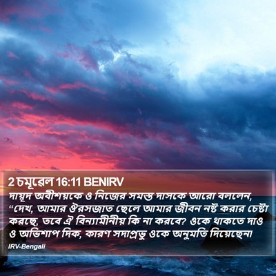 2 চমূৱেল 16:11 BENIRV Bible Verse Image