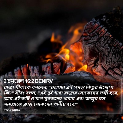 2 চমূৱেল 16:2 BENIRV Bible Verse Image
