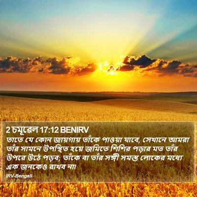 2 চমূৱেল 17:12 BENIRV Bible Verse Image