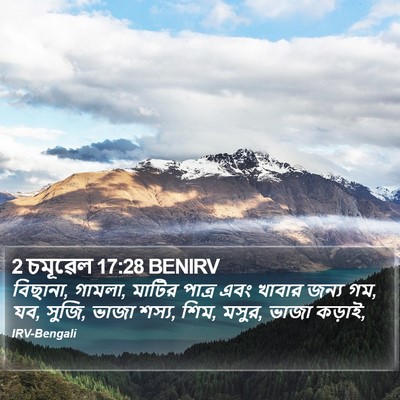 2 চমূৱেল 17:28 BENIRV Bible Verse Image