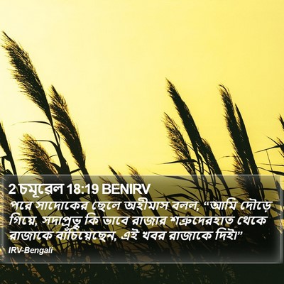 2 চমূৱেল 18:19 BENIRV Bible Verse Image