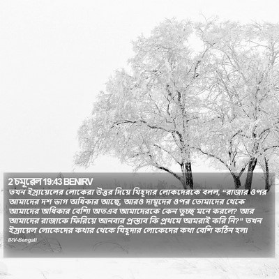 2 চমূৱেল 19:43 BENIRV Bible Verse Image