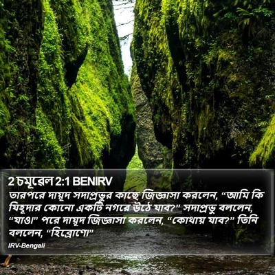 2 চমূৱেল 2:1 BENIRV Bible Verse Image