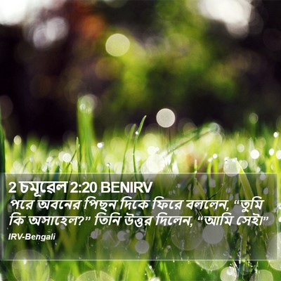 2 চমূৱেল 2:20 BENIRV Bible Verse Image