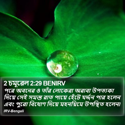2 চমূৱেল 2:29 BENIRV Bible Verse Image