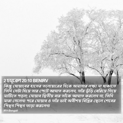 2 চমূৱেল 20:10 BENIRV Bible Verse Image