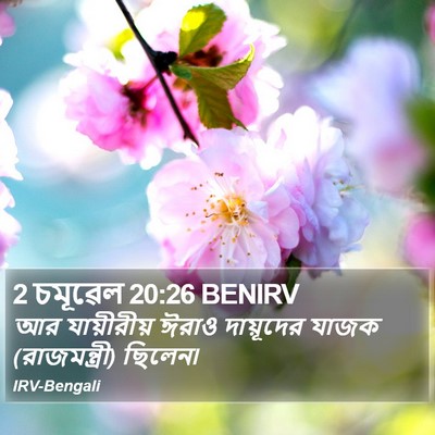 2 চমূৱেল 20:26 BENIRV Bible Verse Image