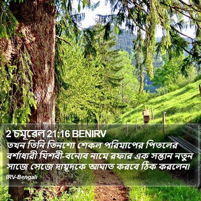 2 চমূৱেল 21:16 BENIRV Bible Verse Image
