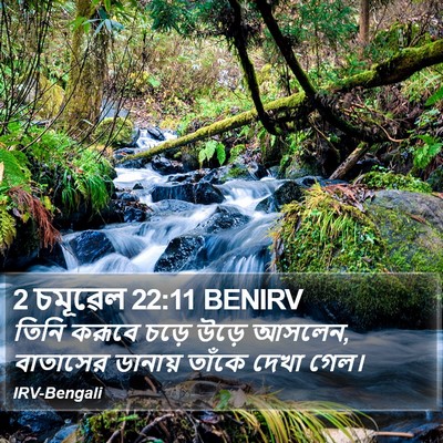 2 চমূৱেল 22:11 BENIRV Bible Verse Image