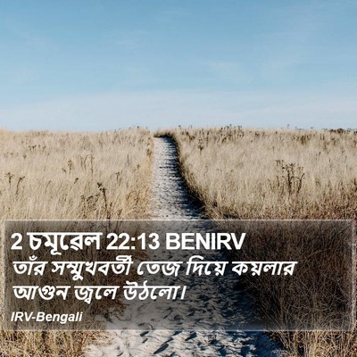 2 চমূৱেল 22:13 BENIRV Bible Verse Image