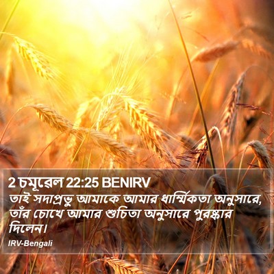 2 চমূৱেল 22:25 BENIRV Bible Verse Image